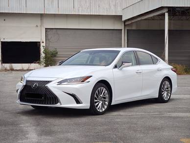 2019 Lexus ES 250 LUXURY