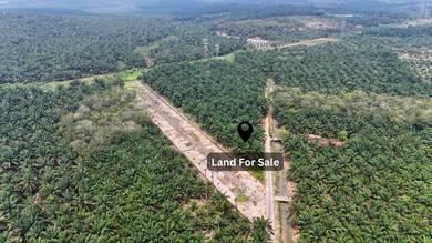 Agricultural Land in Muar, JHR