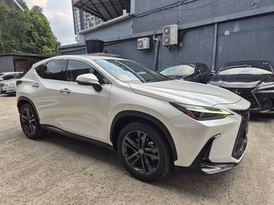 2022 Lexus NX 250 LUXURY