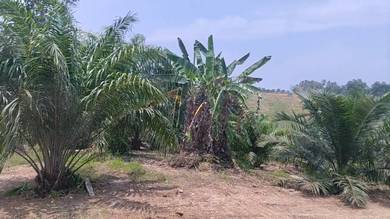 Agricultural Land in Tawau, SBH