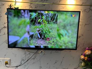 Tv Google Sharp