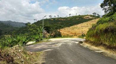 Agricultural Land in Karak, PHG