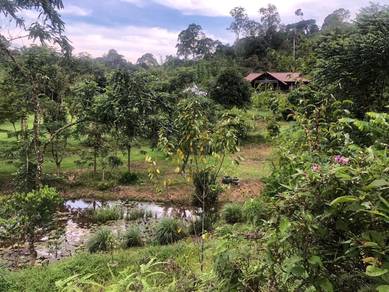 Agricultural Land in Hulu Langat, SGR