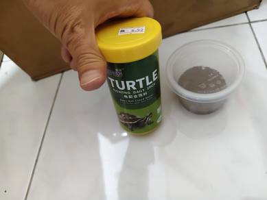Turtle tortoise plastic fish tank aquarium