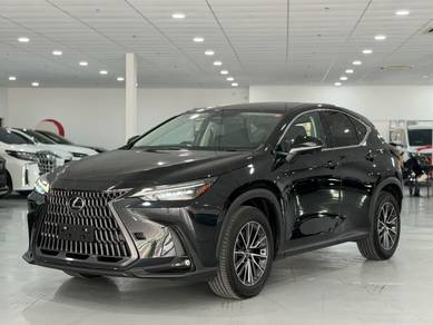 Lexus NX 250 LUXURY in Subang Jaya, SGR