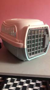 Cat Accessories 