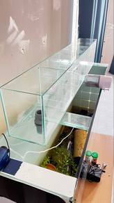 akuarium 
