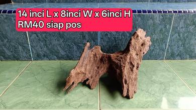 kayu aquarium solid body TENGGELAM