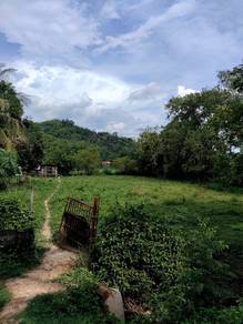 Agricultural Land in Pokok Sena, KDH