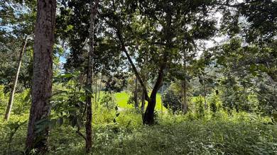 Agricultural Land in Sik, KDH