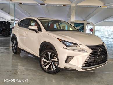2021 Lexus NX 300 PREMIUM