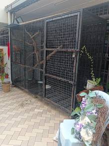 Sangkar burung 10 kaki