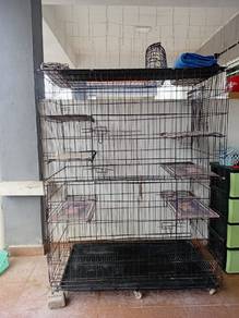 Sangkar Kucing for sale