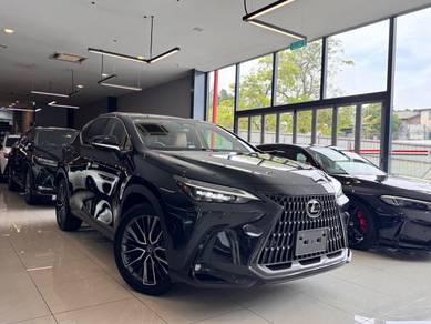 Lexus NX 250 LUXURY in Taman Tun Dr Ismail, KUL