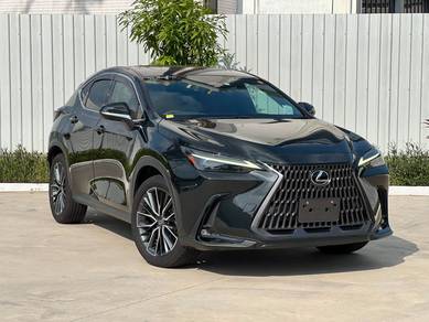 2023 Lexus NX 250 LUXURY