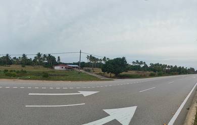 Agricultural Land in Pekan, PHG