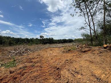 Agricultural Land in Durian Tunggal, MLK