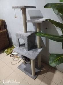 cat playground 