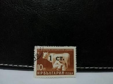 1962 Bulgaria Stamp Woman Milking Cow