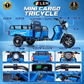 Mini Electric Cargo 