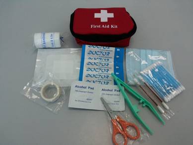 First Aid Mini Pouch / Travel First Aid Pouch