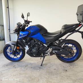 Yamaha MT250