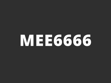 MEE6666