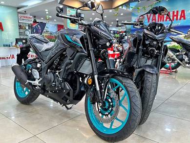 Yamaha MT250