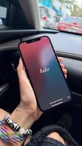 Iphone 12 Pro Max 256GB