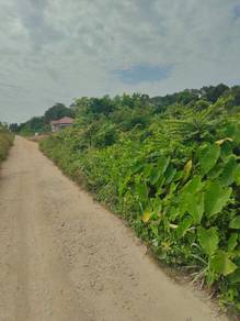 Residential Land in Pekan, PHG