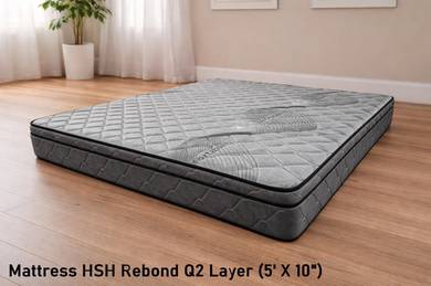 10 INCH HSH Rebond Queen Mattress