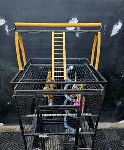 parrot cage