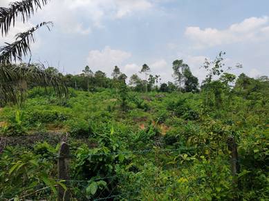 Commercial Land in Mantin, NSN