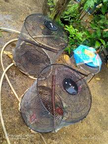 Sarang burung