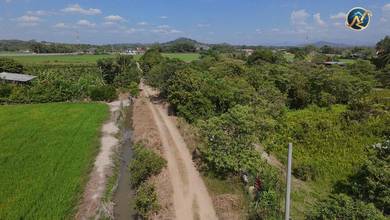 Agricultural Land in Bukit Mertajam, PNG