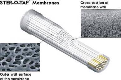 Membrane Filter , , , , , , , , , , , , , , cD39aa
