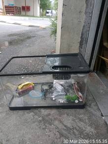 tempat kucing ikan hamster
