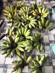 pisang abu isi kuning