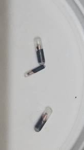 ​Bulk RFID Microchips for Fish & Pets 