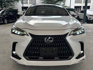 Lexus NX 250 LUXURY in Cheras, KUL