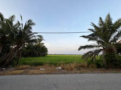 Agricultural Land in Sungai Besar, SGR