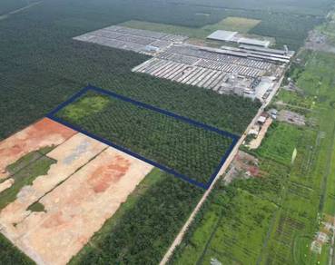 Agricultural Land in Kapar, SGR