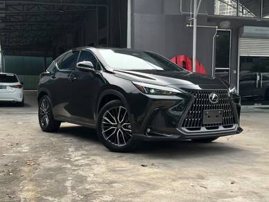Lexus NX 250 BASE GRADE in Bandar Kinrara, SGR