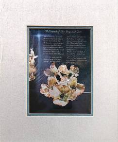 Floral & Garden Art Prints – Ready to Frame