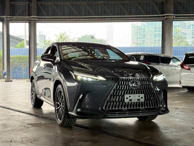 Lexus NX 250 LUXURY in Bandar Kinrara, SGR