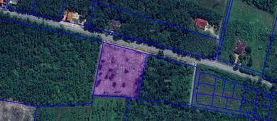 Others Land in Tanah Merah, KTN