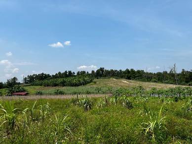 Agricultural Land in Ipoh, PRK