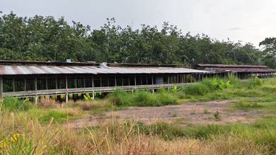Others For Sale in Kubang Pasu,KDH