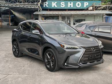 2022 Lexus NX 250 LUXURY