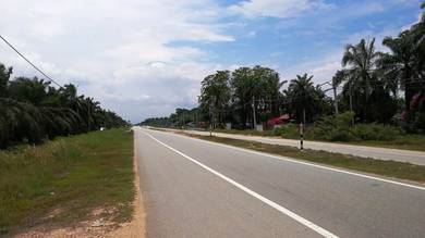Agricultural Land in Kuala Selangor, SGR